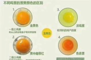 土鸡蛋多少钱一斤_土鸡蛋和普通鸡蛋的区别