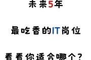 IT专业哪个好_未来十年最吃香岗位