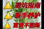 互联网投资养殖靠谱吗_新手如何避坑