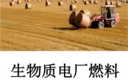 生物质能源发展前景怎么样_生物质能源有哪些优势