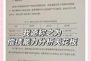 互联网行业偿债能力如何评估_互联网企业偿债指标有哪些