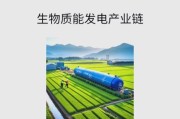 生物质发电前景如何_生物质发电有前途吗