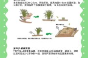 种植业前景怎么样_如何提高种植业收益