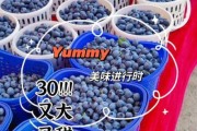 蓝莓市场价多少钱一斤_蓝莓种植前景如何
