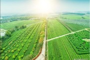 生态农业前景怎么样_生态农业赚钱吗