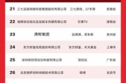 互联网行业top100有哪些_如何进入榜单