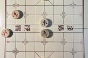 中国象棋未来怎么样_学象棋有前途吗