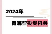 主题酒店投资前景怎么样_2024年还能赚钱吗