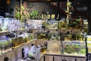 水族店赚钱吗_新手如何开水族店