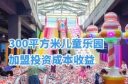 游乐场投资多少钱_游乐场如何盈利