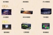 卖鱼缸赚钱吗_新手如何开鱼缸店
