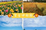 花海什么时候去最好_花海门票价格是多少
