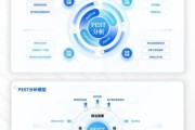 互联网经济pest分析怎么做_互联网经济pest模型应用案例