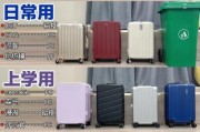 中国箱包品牌排名前十_如何挑选耐用旅行箱
