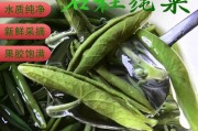 莼菜种植前景怎么样_莼菜市场价格多少钱一斤