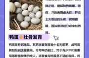 鸭蛋的营养价值_未来市场前景如何