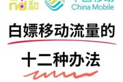 2016年移动互联网流量怎么获取_移动SEO优化方法