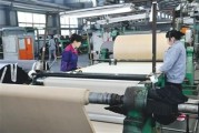 福建永强合成革有限公司怎么样_合成革环保性能好吗