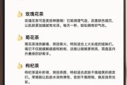 花草茶前景怎么样_花草茶市场趋势分析