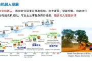 有机农业市场前景如何_有机产品创业机会在哪