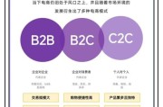 b2c行业怎么做推广_B2C电商如何提升转化率