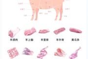羊肉价格为什么涨_如何挑选优质羊肉