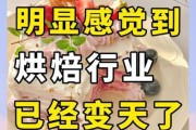 烘焙行业市场分析报告_2024年烘焙店还能赚钱吗