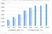 互联网支付用户规模_2024年最新数据是多少
