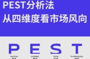 互联网行业产品pest分析_如何影响SEO策略