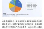 2024年做什么生意最赚钱_新能源充电桩加盟前景如何
