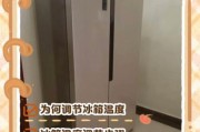 家用冰箱怎么选_变频空调真的省电吗