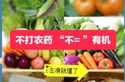 有机蔬菜真的更健康吗_如何挑选有机蔬菜