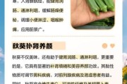 秋葵种植前景如何_秋葵营养价值高吗