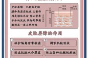 敏感肌用什么护肤品_如何修复皮肤屏障