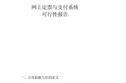 互联网支付可行性报告怎么写_互联网支付可行性报告模板