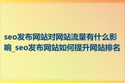 中国网站在欧美流量占比_如何提升海外搜索排名