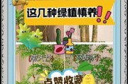 绿植行业前景怎么样_新手如何入局