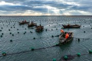 海水养殖行业前景如何_海水养殖赚钱吗