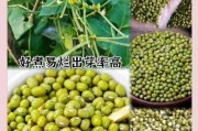 绿豆价格走势_绿豆种植前景如何