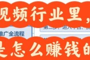 互联网视频产业如何盈利_短视频平台靠什么赚钱