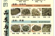 白茶市场前景怎么样_白茶值得投资吗