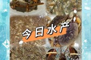 水产网上怎么买才新鲜_水产电商平台哪家好