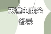 天津互联网电商平台有哪些_天津本地电商平台排名