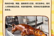 狗肉还能吃吗_2024年狗肉市场前景分析