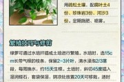 2013年百度绿萝算法是什么_如何快速恢复被K网站