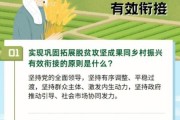 互联网新农村怎么赚钱_互联网新农村成功案例