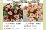 互联网十花卉有哪些_如何挑选靠谱网店