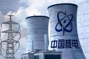 中国核电发展前景_核电安全吗