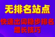 软件行业如何选长尾词_软件SEO优化怎么做