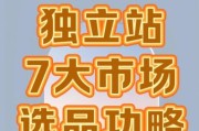 日本跨境电商怎么做_日本独立站如何选品